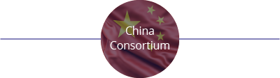 China Consortium 49%